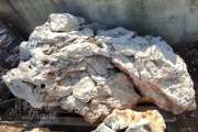 Roccione Grezzo 880 Kg. 499,00€
